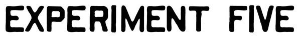 Experiment Five